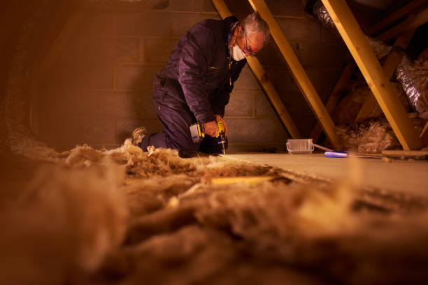 Best Basement Insulation  in Mesilla, NM